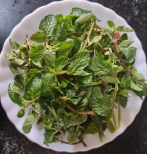 cilantro mint chutney